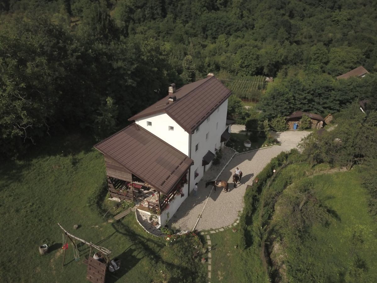 Casa Piscul Lupului Villa Pucioasa Exterior photo